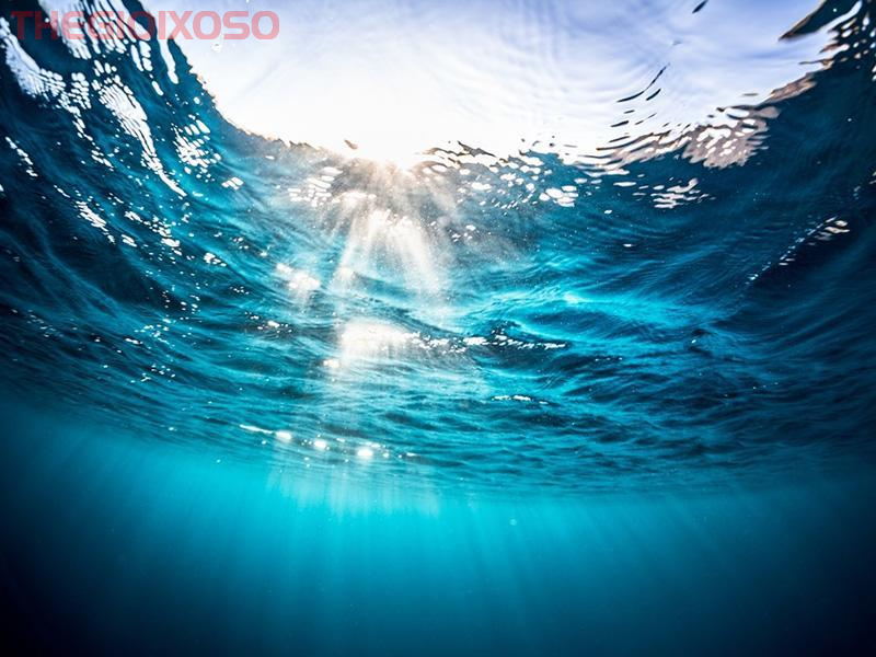 Giải Mã Ý Nghĩa Giấc Mơ Thấy Nước - Mơ Về Nước Là Điềm Tốt Hay Xấu?